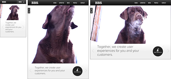 BigBark Studios responsive design