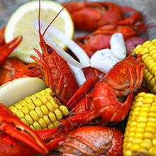 Louisiana Tourism thumbnail